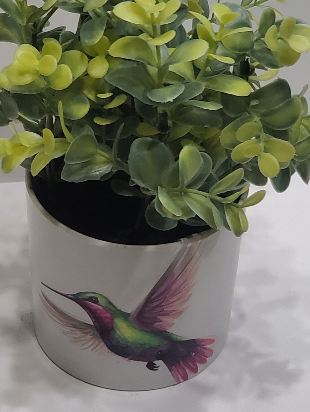 Light Up Plant - Picture 12 of 16
